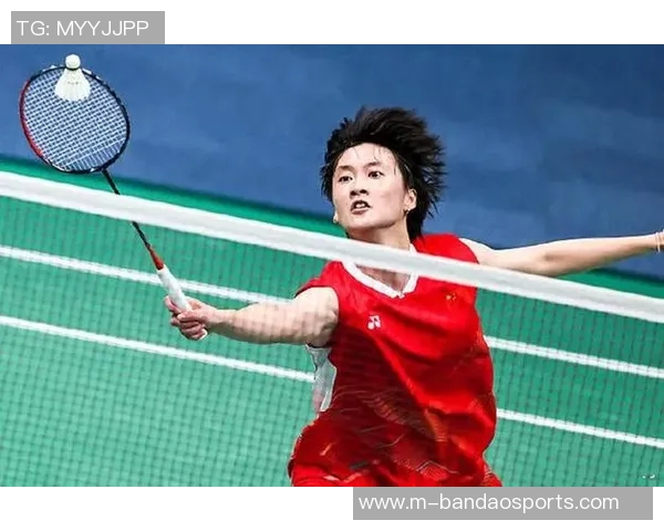 北京羽毛球队个人能力分析与发展策略探讨 北京羽毛球队个人能力分析与发展策略探讨