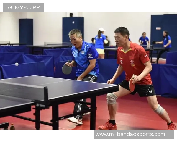 杨强乒乓球生涯回顾与展望对话分享运动精神与人生哲学