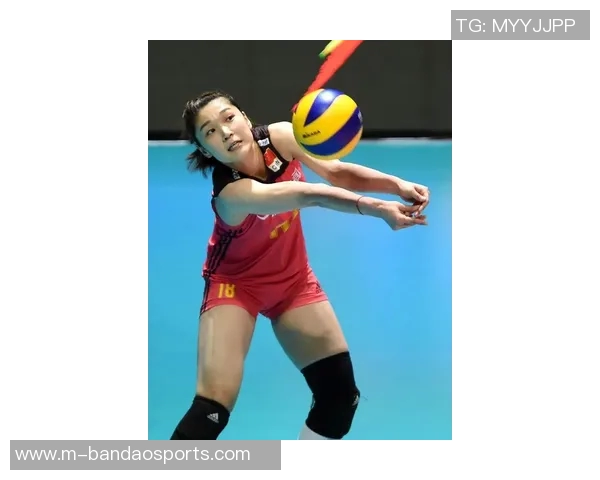 杨秀英专访揭秘排球成功秘诀与背后故事