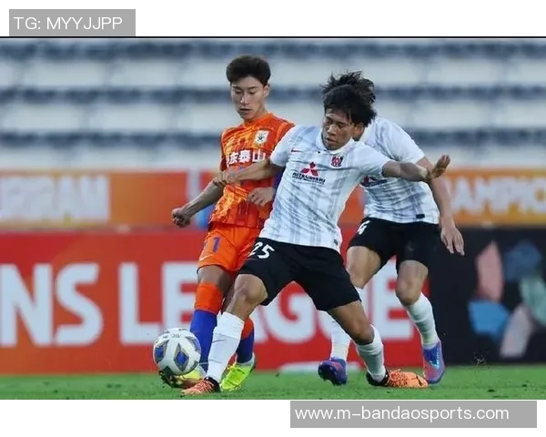 成都篮球队区域防守分析及其在比赛中的得失表现探讨